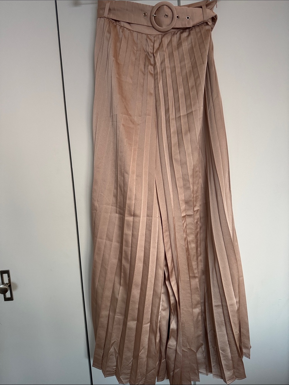 Pleated High-Waist Trousers with Belt - Blush